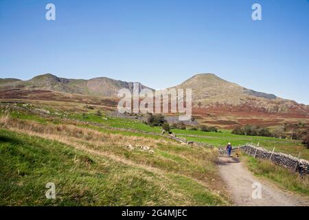 Der alte Mann von Coniston und Dow Crag aus der Nähe von Torver High Common Coniston im Lake District Cumbria England Stockfoto