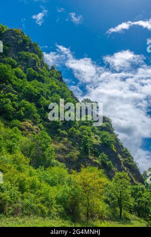 Der legendäre steile Loreley-Felsen am Rhein km555, UpperMittelrheintal, UNESCO-Weltkulturerbe, Rheinland-Pfalz, Deutschland Stockfoto