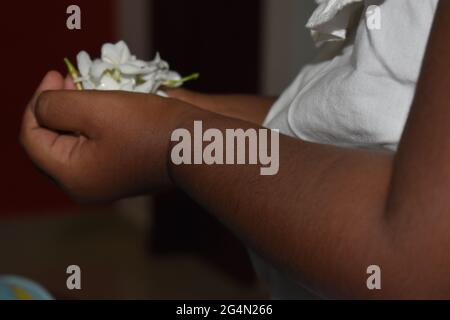 Colombo, Sri Lanka. Juni 2021. Ein drei Jahre altes Kind trägt weiße Blumen in Vorbereitung auf eine Kindertagesveranstaltung zum Gedenken an den Poya-Vollmond-Tag von Poon, der am Donnerstag, dem 24. Juni, fällt. Poson Poya ist nach Vesak an zweiter Stelle und erinnert an die Einführung des Buddhismus in Sri Lanka durch den buddhistischen Missionsmönch Mahinda im 3. Jahrhundert v. Chr. Quelle: Majority World CIC/Alamy Live News Stockfoto