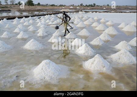 SENEGAL, Kaolack, Salzwerke in Salzwasserbecken, Meersalzbecken im Saloum-Delta / Salzgewinnung in den Salinen der Lagune Saloum Stockfoto