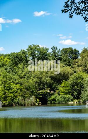 Weros in der Nähe des Sees im Central Park, NYC, USA Stockfoto