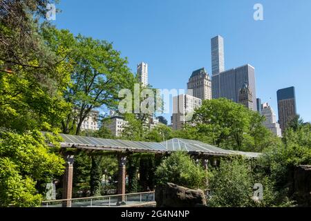 Central Park Zoo mit Wolkenkratzern im Hintergrund, New York City, USA Stockfoto