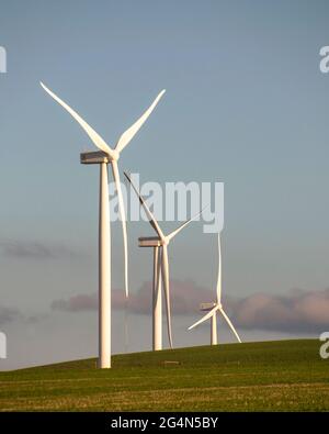 Erneuerbare Energie....Windturbinen auf einem Hügel bei Sonnenuntergang, in der Nähe von Caledon, Westkap, Südafrika Stockfoto