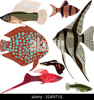 Sammlung exotische Aquarienfische, EPS10 - Vektorgrafiken. Stock Vektor