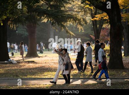 Menschen, die an einem schönen Tag im Yoyogi Park, Tokio, Japan, die Sonne genießen Stockfoto