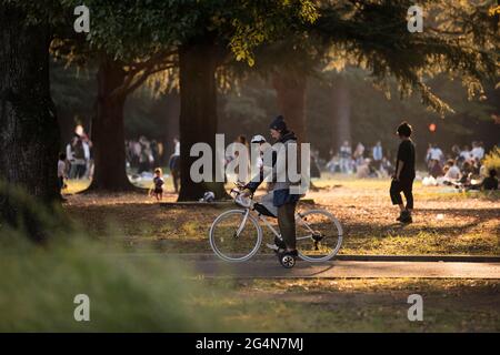 Menschen, die an einem schönen Tag im Yoyogi Park, Tokio, Japan, die Sonne genießen Stockfoto