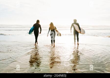 Rückansicht einer nicht erkennbaren Gruppe von Surfer-Freunden in Neoprenanzügen, die mit Surfbrettern zum Wasser laufen, um während der Wellen am Strand zu fangen Stockfoto