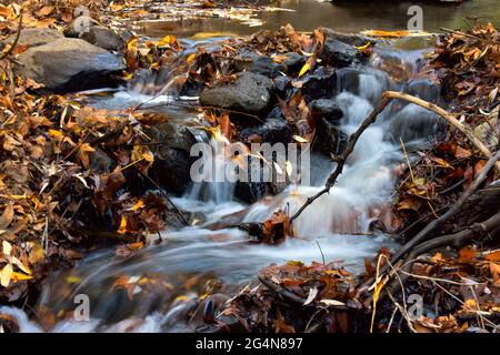 Im Herbst fällt. Stockfoto