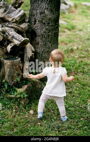 Das Kind steht auf einem grünen Rasen neben einem Haufen von Baumstümpfen Stockfoto
