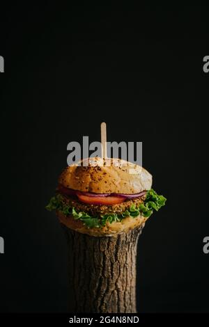 Leckerer veganer Burger mit frischem, reifen Gemüse, serviert auf Holzrüssel auf schwarzem Hintergrund im Studio Stockfoto