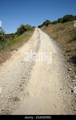 Sehen Sie sich die Landstraße in Sizilien zwischen dem Berg des Naturreservats Nebrodi an Stockfoto