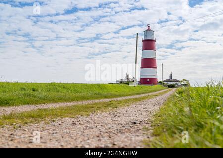 Ein Pfad führt hinauf zum Leuchtturm von Happisburgh, dem ältesten funktionierenden Leuchtturm in East Anglia, der im Juni 2021 gesehen wurde. Stockfoto