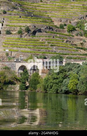 Douro Valley Portugal von einem Boot auf dem Fluss gedreht Blick auf Weinberge Stockfoto