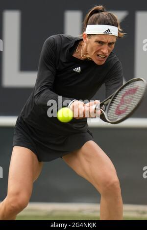 Bad Homburg, Deutschland. Juni 2021. Tennis: WTA Tour, Singles, 1. Runde, Bad Homburg Open. Anisimova (USA) - Petkovi· (Darmstadt). Andrea Petkovic aus Deutschland im Einsatz. Quelle: Thomas Frey/dpa/Alamy Live News Stockfoto