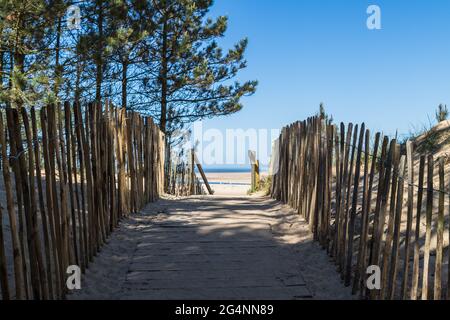 Ein Spaziergang führt über die Sanddünen und durch den Pinienwald nach Wells am Meeresstrand an der Nord-Norfolk-Küste. Stockfoto