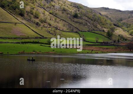 Watendlath Tarn, in der Nähe des Weilers Watendlath im englischen Lake District. Angler können oft gesehen werden Fliegenfischen für Forellen von Booten auf dem tarn. Stockfoto