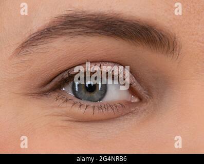 Weibliches Auge. Augen Make-up. Gewölbte Augenbraue und natürlicher Lidschatten. Sehvermögen. Wimpern-Verlängerung. Stockfoto
