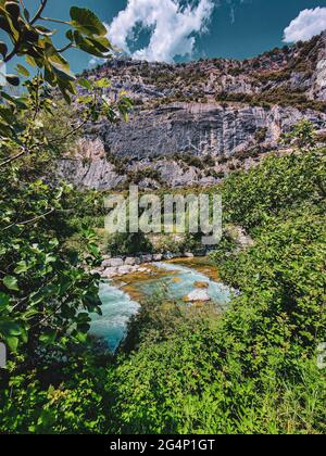 Vertikale Aufnahme eines von Vegetation umgebenen Flusses Stockfoto