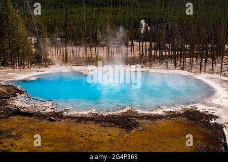 Zisterne Spring im Norris Geyser Basin, Yellowstone National Park Stockfoto