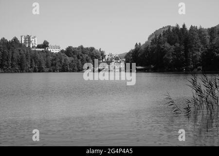 Graustufenaufnahme von Bäumen, die einen See umgeben Stockfoto