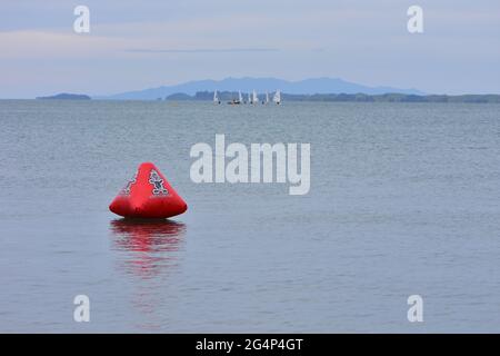 Rote aufblasbare Schwimmer auf ruhiger Meeresoberfläche mit Segeljinghies und Stützschiff in verschwommenem Hintergrund. Stockfoto