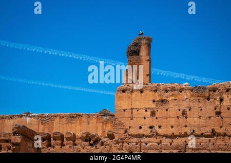 Störche im El Badi Palace, einem zerstörten Palast in Marrakesch, Marokko Stockfoto