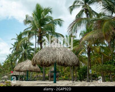 Ökologische Regenschirme aus getrockneten Bananenblättern und Baumstämme am Strand von Palomino, Kolumbien Stockfoto