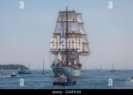 Adler auf Tall Ships Teilnahme an einer Segelparade im Rahmen des Rendezvous 2017 in Halifax am Dienstag, 1. August 2017 während des Tall Ships Festivals Stockfoto