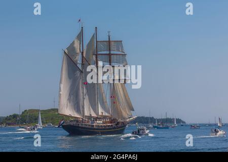 Kampen, NL, Großsegler, die am 1. August 2017 während des Tall Ships Festivals im Rahmen des Rendezvous 2017 in Halifax an einer Segelparade teilnehmen Stockfoto