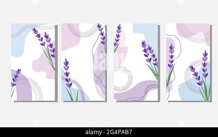 Set von Hintergründen mit Lavendel. Abstrakte Vorlage mit Flecken und Blumen. Stock Vektor