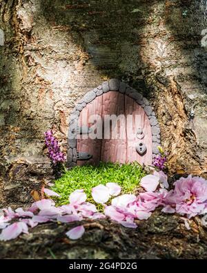 Kleine Märchentür aus Ton in einem Baumstamm mit rosa Blütenblättern. Stockfoto
