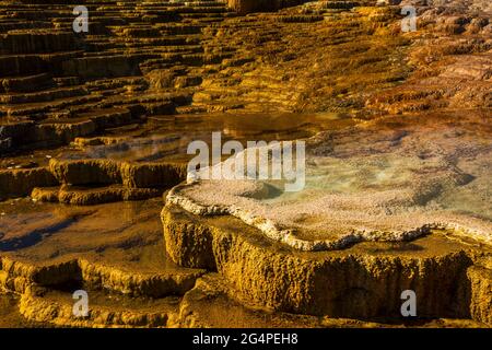 Mound Terrace im Mammoth Hot Springs Yellowstone National Park, Wyoming Stockfoto