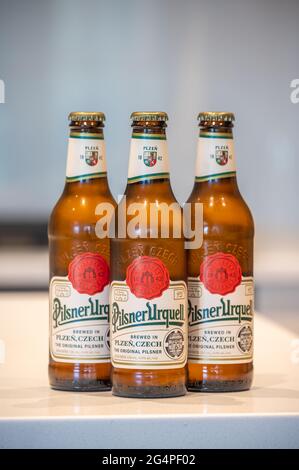 Calgary, Alberta - 22. Juni 2021: Pilsner Urquell Lagerbierflasche in weißer Küche. Pilsner Urquell ist ein tschechisches Bier. Stockfoto