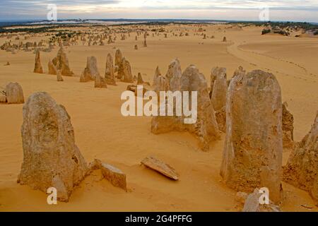 Die Pinnacles, Nambung National Park Stockfoto