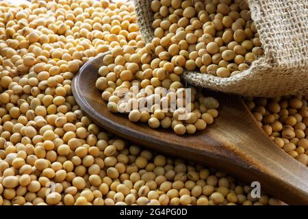 Sojabohnen - Ernte im Bundesstaat Mato Grosso do Sul, Brasilien im Jahr 2021 Stockfoto