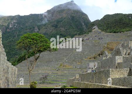Peru Machu Picchu - am frühen Morgen Panoramablick auf Machu Picchu Terrassenfelder Stockfoto