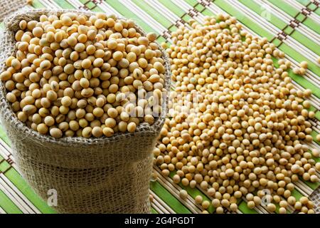 Sojabohnen - Ernte im Bundesstaat Mato Grosso do Sul, Brasilien im Jahr 2021 Stockfoto