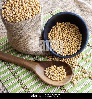 Sojabohnen - Ernte im Bundesstaat Mato Grosso do Sul, Brasilien im Jahr 2021 Stockfoto