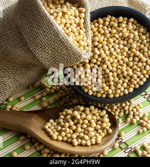 Sojabohnen - Ernte im Bundesstaat Mato Grosso do Sul, Brasilien im Jahr 2021 Stockfoto