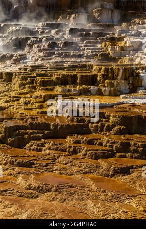 Mound Terrace im Mammoth Hot Springs Yellowstone National Park, Wyoming Stockfoto