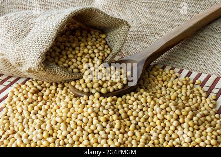 Sojabohnen - Ernte im Bundesstaat Mato Grosso do Sul, Brasilien im Jahr 2021 Stockfoto