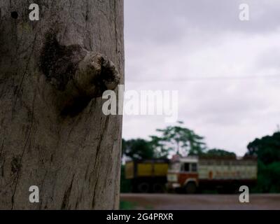 Trockenes Holz Nahaufnahme mit Seitenrahmen LKW-Transport präsentiert auf Himmel Hintergrund Stockfoto