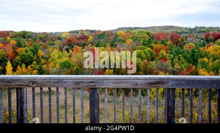 Blick auf die Herbstblätter von der Aussichtsplattform im Rouge National Urban Park Stockfoto