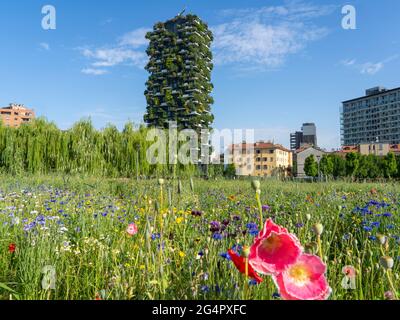 Mailand, Italien. Bosco Verticale, Blick auf den modernen und ökologischen Wolkenkratzer mit vielen Bäumen auf jedem Balkon. Öffentlicher Park im Vordergrund Stockfoto