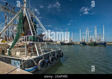 Garnelenboote im Hafen in Palacios, Texas, USA Stockfoto