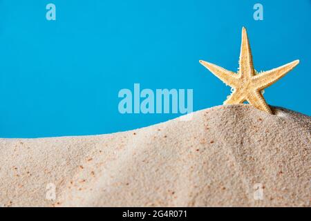 Seesterne stehen im Sand auf blauem Hintergrund Stockfoto