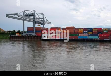 Köln, 20. Juni 2021: Zahlreiche bunte Container an einer Anlegestelle am Rhein. Stockfoto