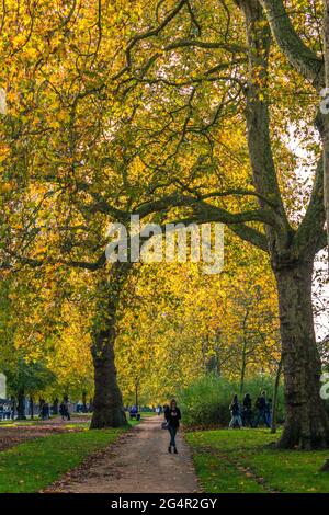 Herbstszene im Park mit Menschen, die unter großen Bäumen mit goldfarbenen Blättern spazieren. Stockfoto