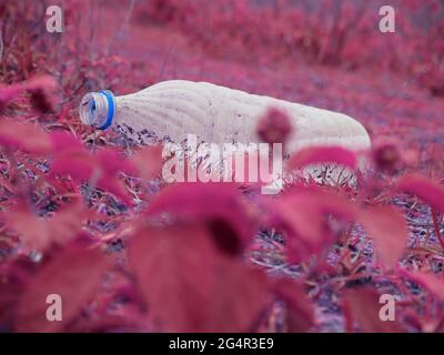 Alte Wasserflasche gehalten rosa Farbe Naturrasenfeld, Schönheit mit Müll Konzept. Stockfoto