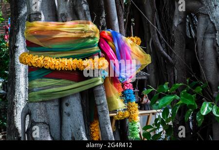Ringelblume Blumengirlanden und Stofffarben bunt um die gewickelt Baum das bunte Tuch, das um einen Baum gebunden ist, ist das Der Glaube an den thailändischen Schurken Stockfoto
